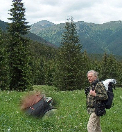 60cs-6.jpg (81100 bytes)