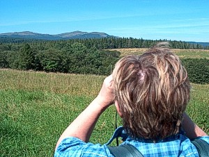 m2-2.jpg (33970 bytes)