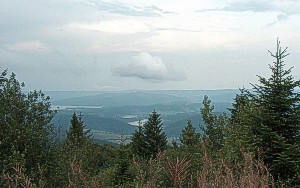 m3-5.jpg (21042 bytes)