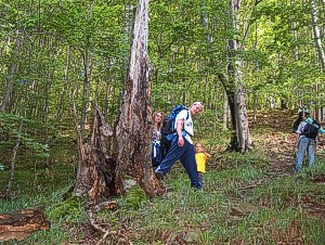 m4-3.jpg (45848 bytes)