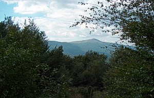 m4-4.jpg (28224 bytes)