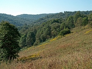 m6-06.jpg (33897 bytes)