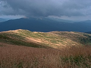 m7-1.jpg (25542 bytes)