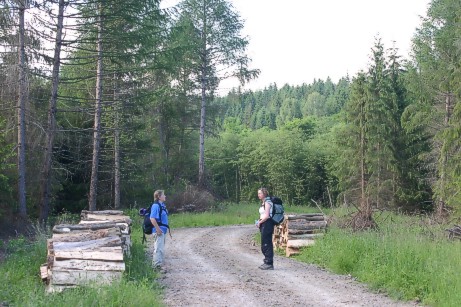 02-14.jpg (63908 bytes)
