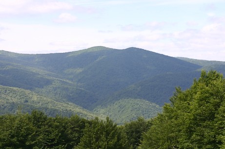 04-01.jpg (37768 bytes)