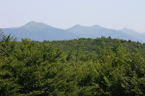 05-05.jpg (53248 bytes)