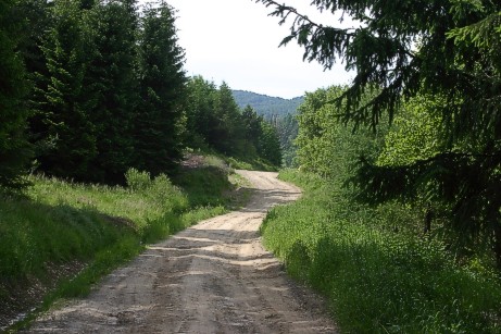 06-01.jpg (60388 bytes)