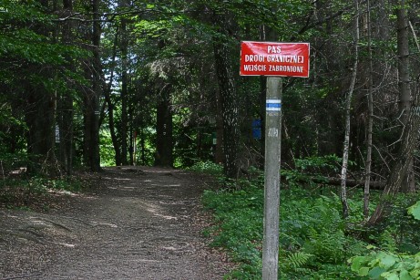 06-03.jpg (71395 bytes)