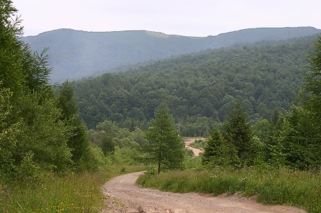 06-08.jpg (48289 bytes)