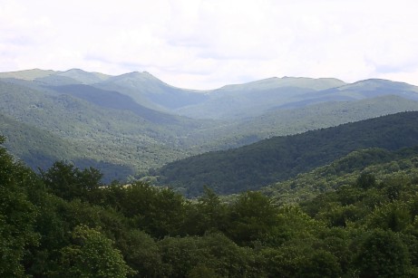 08-06.jpg (34527 bytes)