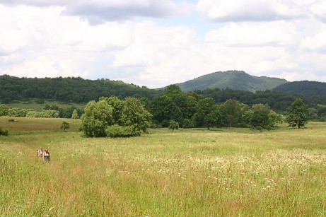09-08.jpg (46940 bytes)