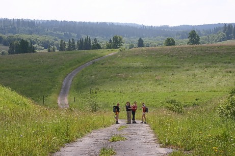 11-03.jpg (50969 bytes)