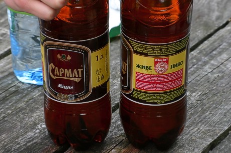 11-09.jpg (53651 bytes)
